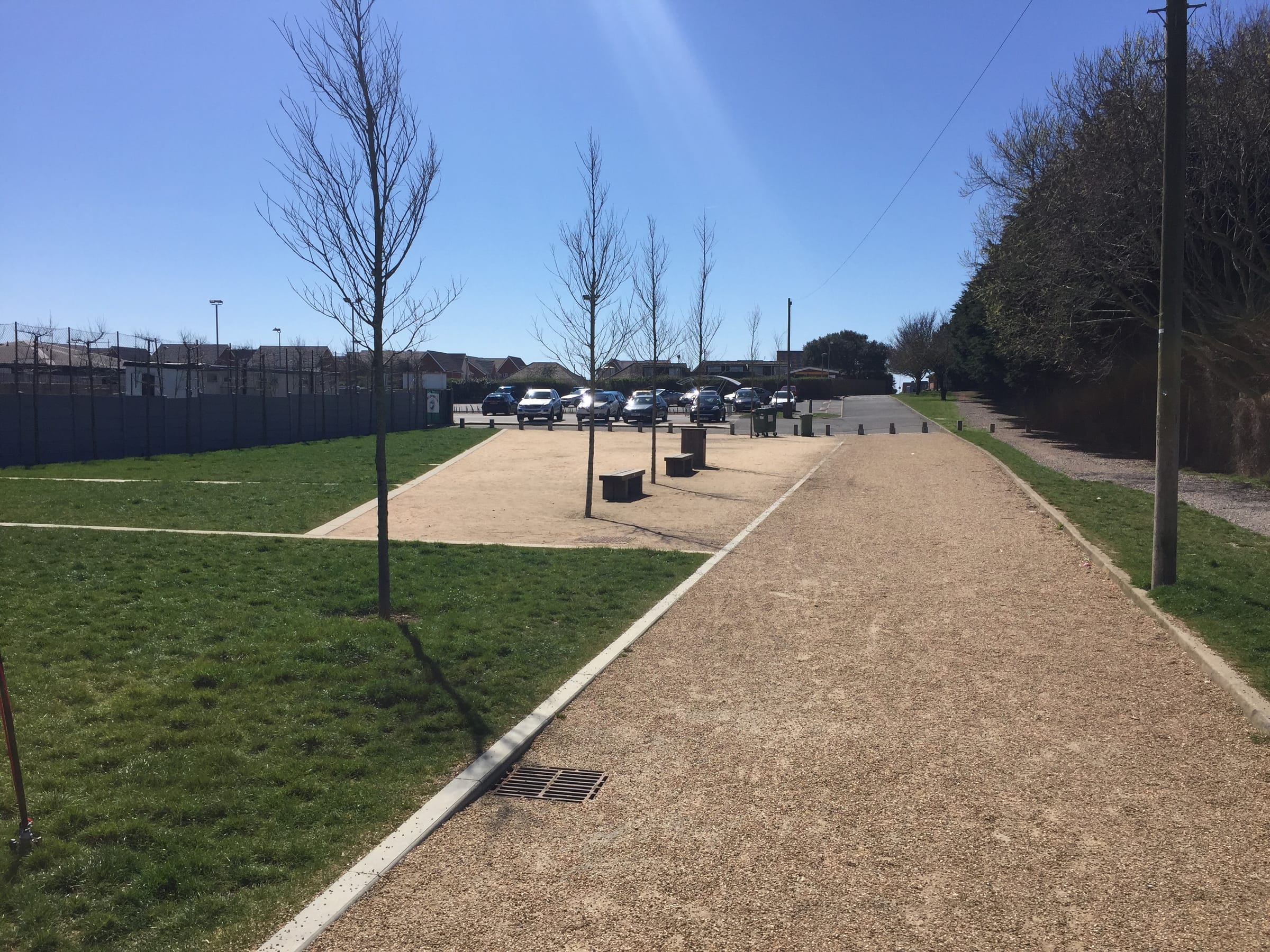 Parkside promenade path with new tree planting